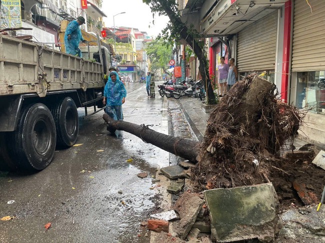 Các biện pháp phòng, tránh tai nạn cây đổ, điện giật do ảnh hưởng của mưa bão - Ảnh 1.