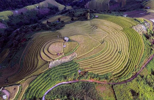 Du lịch Việt Nam: Mùa lúa chín nơi rẻo cao Bắc Yên, Sơn La - Ảnh 8.