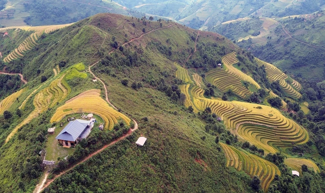 Du lịch Việt Nam: Mùa lúa chín nơi rẻo cao Bắc Yên, Sơn La - Ảnh 3.